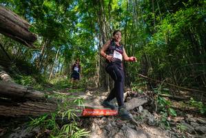 BIB: 
                            <button type="button" onclick="openModal(19388537)" class="btn btn-primary btn-sm float-right btn-popup" data-toggle="modal" data-target=".modal-high-quality">
                        <i class="fas fa-shopping-cart"></i> Add to Cart
                    </button>
                                            <button type="button" onclick="isThisMe(19388537, true)" class="btn btn-success btn-sm float-right btn-popup btn-isme hidden" data-toggle="tooltip" data-placement="bottom" title="นี่คือรูปของคุณใช่ไหม คลิกที่นี่เพื่อเอาเข้าอัลบั้ม">
                        <i class="fas fa-plus"></i> Add to album
                    </button>
                    <button type="button" onclick="isThisMe(19388537, false)" class="btn btn-warning btn-sm float-right btn-popup btn-isnotme hidden">
                        <i class="fas fa-ban"></i> Remove from album
                    </button>